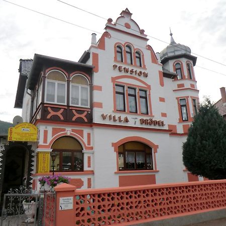 Pension Villa Broedel Bad Blankenburg Buitenkant foto